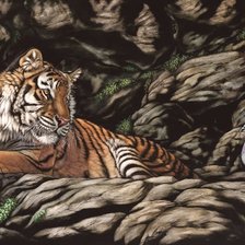 Схема вышивки «№1420560»