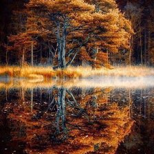 Схема вышивки «дерево»