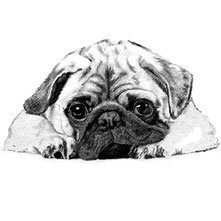 Схема вышивки «Мопсик»