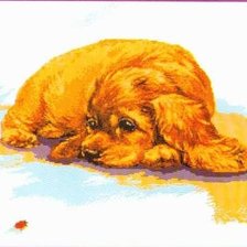 Схема вышивки «Кокер»