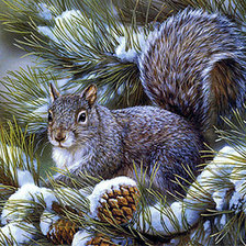 Схема вышивки «№1421268»