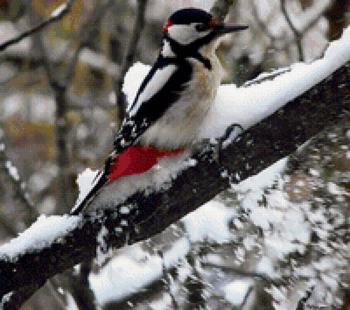 дятел зимой - птицы - предпросмотр