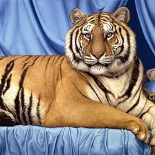 Схема вышивки «тигр»