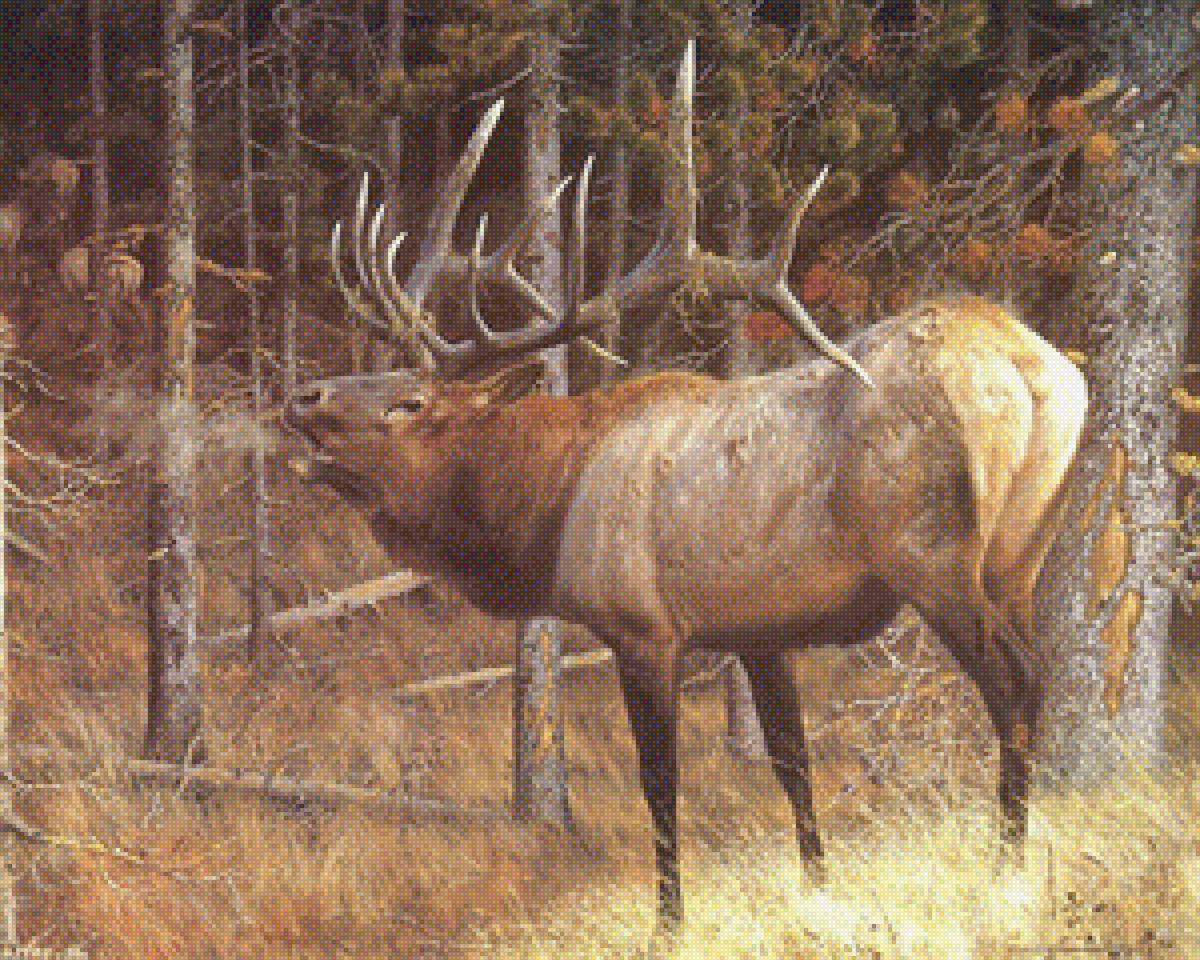 олень - олень - предпросмотр