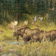 Схема вышивки «лоси»