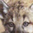 Предпросмотр схемы вышивки «пума» (№1421491)