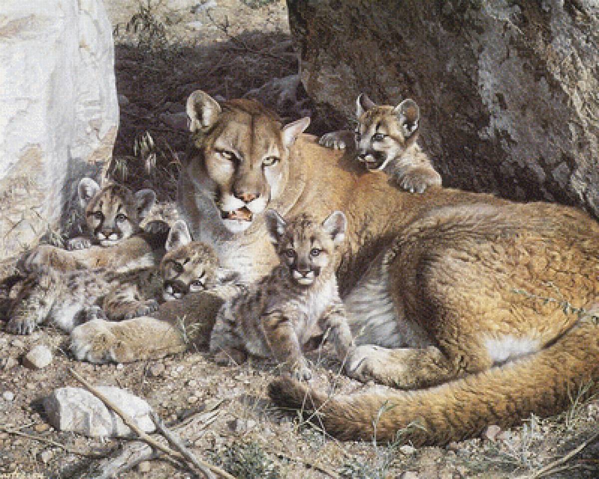 пума - пума - предпросмотр