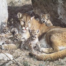 Схема вышивки «пума»