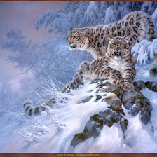 Схема вышивки «снежные барсы»