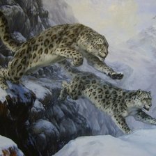 Схема вышивки «снежные барсы»