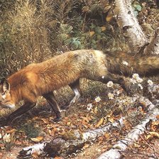 Схема вышивки «лиса»