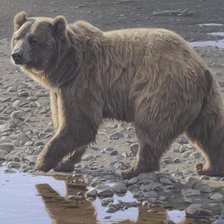 Схема вышивки «медведь»