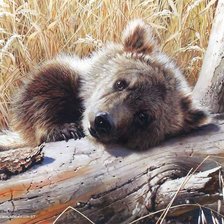 Схема вышивки «медведь»