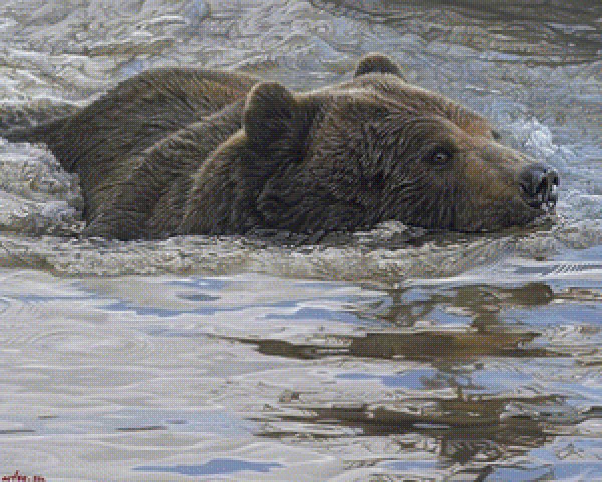 медведь - медведь - предпросмотр