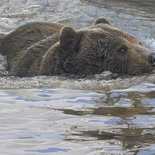 Схема вышивки «медведь»