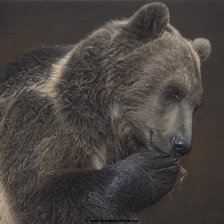 Схема вышивки «медведь»