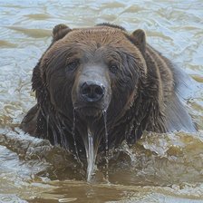 Схема вышивки «медведь»