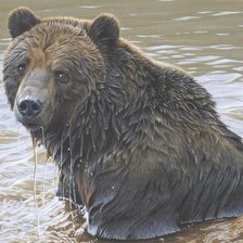 Схема вышивки «медведь»