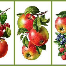 Схема вышивки «ФРУКТОВО-ЯГОДНОЕ»