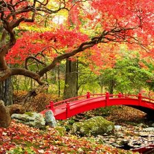 Схема вышивки «парк»