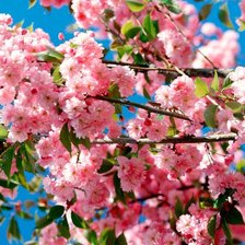 Схема вышивки «)))»