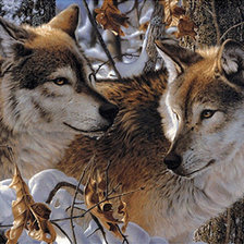 Схема вышивки «№1422482»