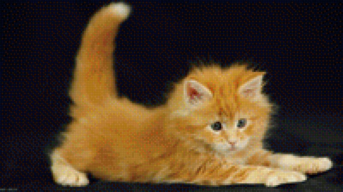 Котенок - кот, котенок - предпросмотр