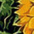 Предпросмотр схемы вышивки «подсолнухи» (№1422682)