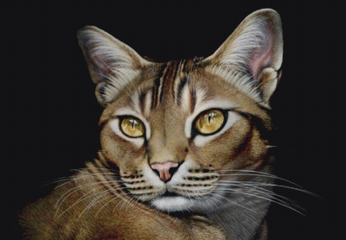 мир животных - предпросмотр