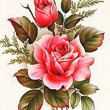 Схема вышивки «Роза»