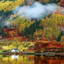 Схема вышивки «природа»