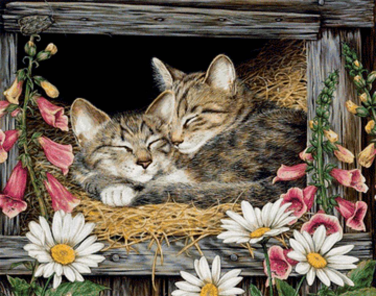 Котята - вышивка крестом - предпросмотр