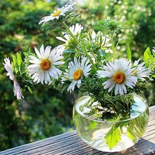 Схема вышивки «№1423395»