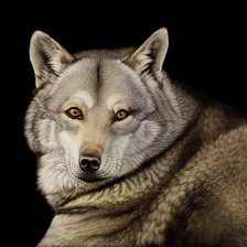 Схема вышивки «№1423404»