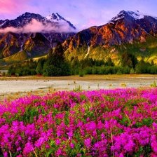 Схема вышивки «пейзаж»