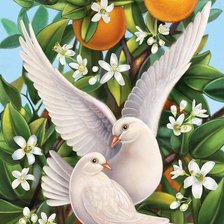 Схема вышивки «№1423444»