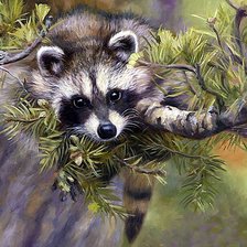 Схема вышивки «енотик»