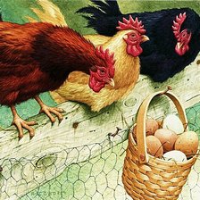 Схема вышивки «Куры»