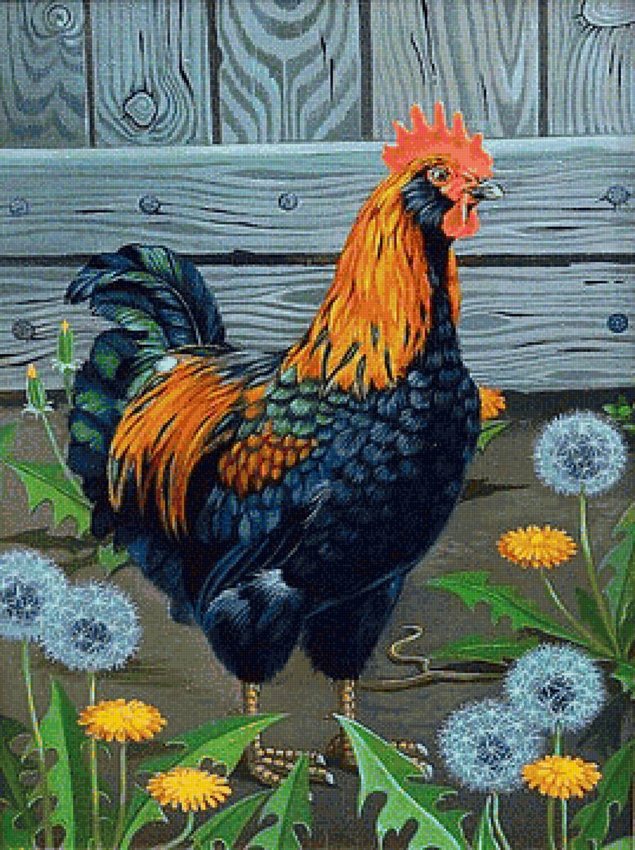 Петушок - вышивка крестом - предпросмотр