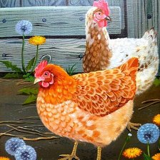 Схема вышивки «Курочки»