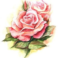 Схема вышивки «Роза»