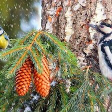 Схема вышивки «Зима»