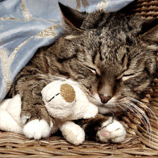 Схема вышивки «сладкий сон»