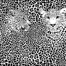 Схема вышивки «абстракция»