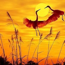 Схема вышивки «танец»