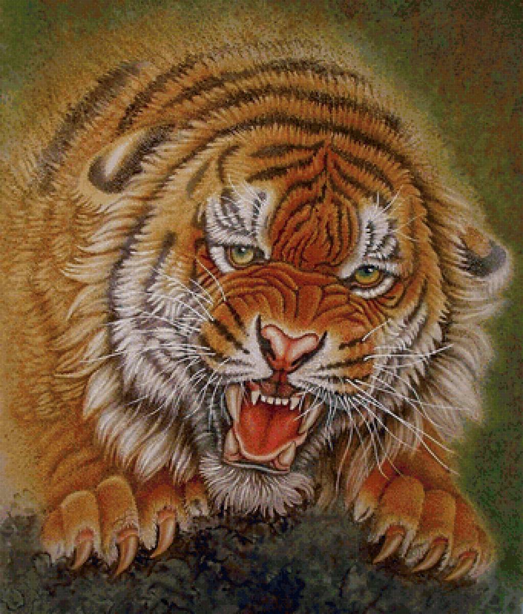 тигр - хищники, тигр - предпросмотр