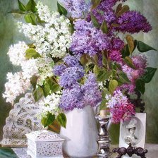 сирень с фото