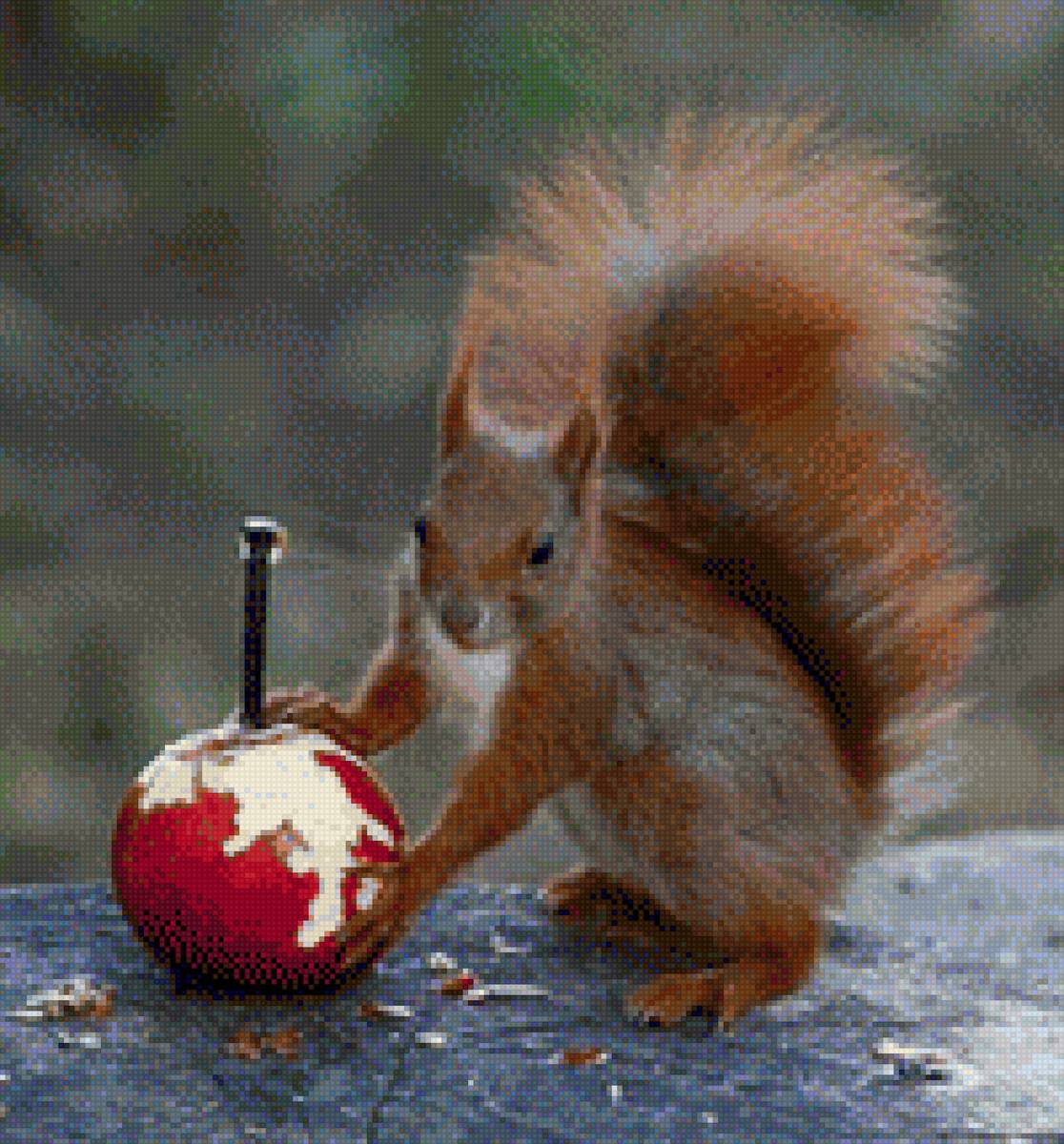 Белка - белка, яблоко - предпросмотр