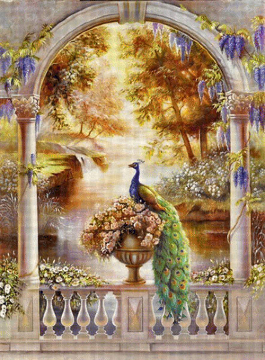 Павлин - павлин, арка - предпросмотр