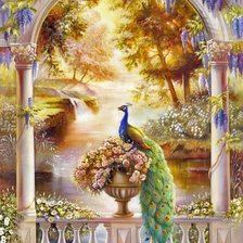 Схема вышивки «Павлин»